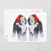 Oud Engels Sheepdog Santa Hat Feestdagenkaart (Voorkant / Achterkant)