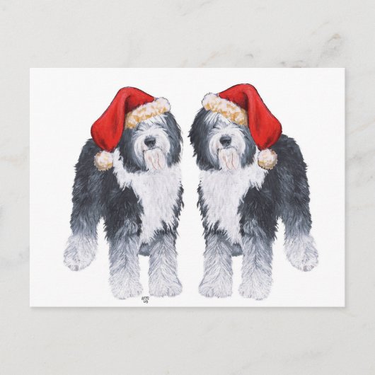 Oud Engels Sheepdog Santa Hat Feestdagenkaart (Voorkant)