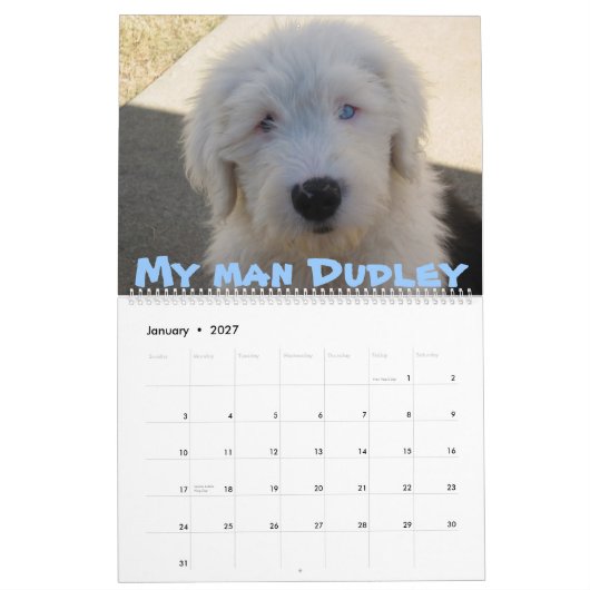 Oud Engels Sheepdogs Kalender (Jan 2027)