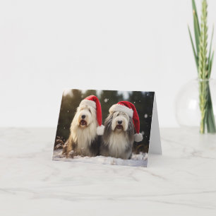 Oud Engels Sheepdogs Kerst Kaart
