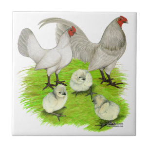 Oud Engelse Self Blue Bantam Familie Tegeltje