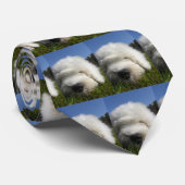 Oud-engelstaartpuppy stropdas (Opgerold)