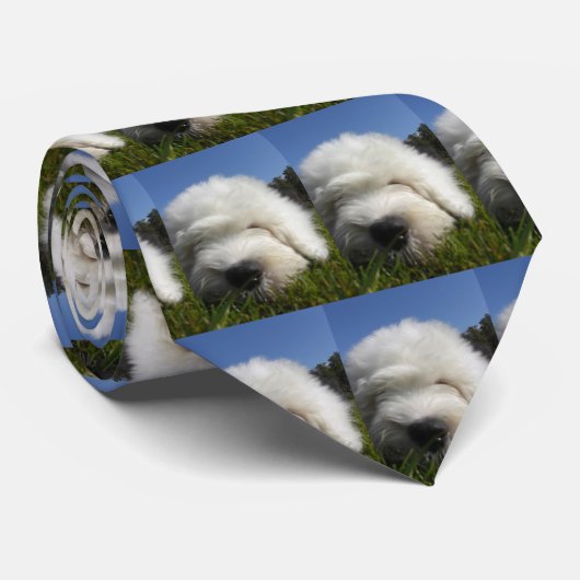 Oud-engelstaartpuppy stropdas (Opgerold)