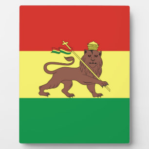 Oud-Ethiopische vlag bij Lion Judah Fotoplaat
