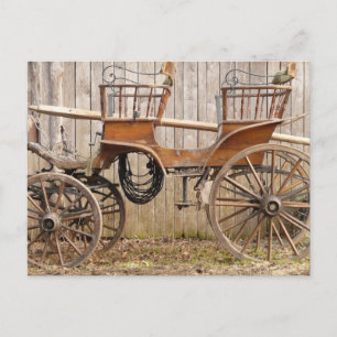 Oud Fancy paard Coach Buggy Briefkaart
