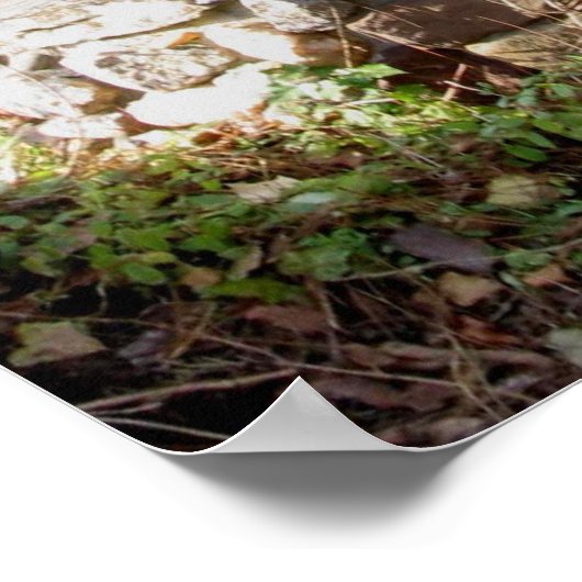 Oud goed poster (Hoek)