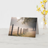 Oud hek in de mist denken aan je kaart (Gele Bloem)