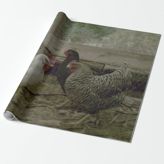Oud  land van Barnyard Cadeaupapier (Uitgerold)