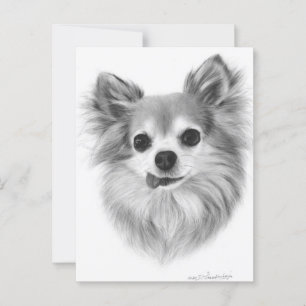 Oud langharig Chihuahua handgeschilderd kunstwerk Briefkaart