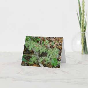 Oud Man Baard Lichen Note Kaart