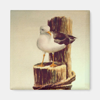 OUD MAN SEAGULL van SHARON SHARPE Magneet