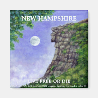 OUD MAN VAN DE BERG New Hampshire Art Magnet 2 Magneet