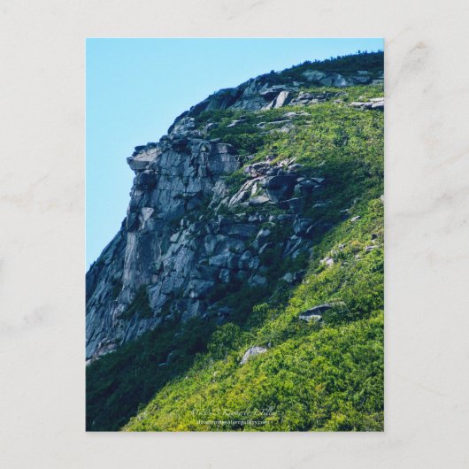 Oud Man van de berg, Zomer, P2279 Briefkaart (Voorkant)