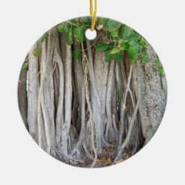 Oud oeroud ficus tree roots background afbeelding keramisch ornament