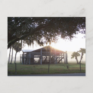 Oud ranch gebouw onder bomen met man standbeeld briefkaart