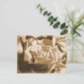 Oud Roos Briefkaart (Staand voorkant)