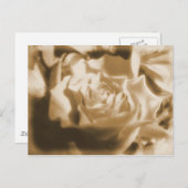 Oud Roos Briefkaart (Voorkant / Achterkant)