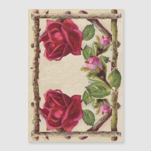  oud roos rustiek Victoriaans Antiek (Voorkant)