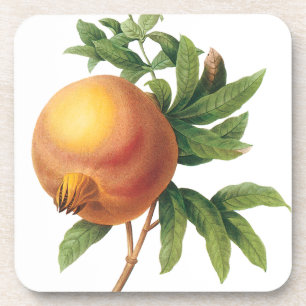 Oud voedsel Fruit, Granaatappel door Redoute Bier Onderzetter