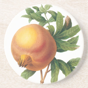 Oud voedsel fruit, granaatappel door Redoute Zandsteen Onderzetter