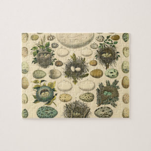 Oud Vogelei Nest Kunst Schilderij Eieren Legpuzzel