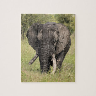 Oude Afrikaanse olifantenstier - gebroken slagtand Legpuzzel