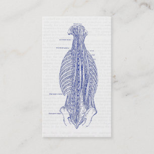 Oude anatomie illustratie achteraan visitekaartje