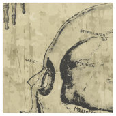 Oude Anatomie Stof (Close Up)