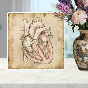 Oude anatomische hart inkt tekening Sepia Tegeltje