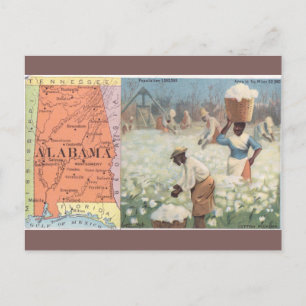Oude ansichtkaart van katoenpluk in Alabama Briefkaart