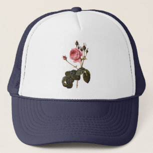 Oude antieke roze tuinrozen in bloei trucker pet