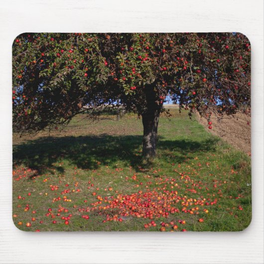 Oude appelboom muismat (Voorkant)