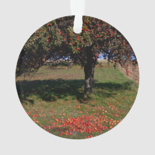 Oude appelboom ornament