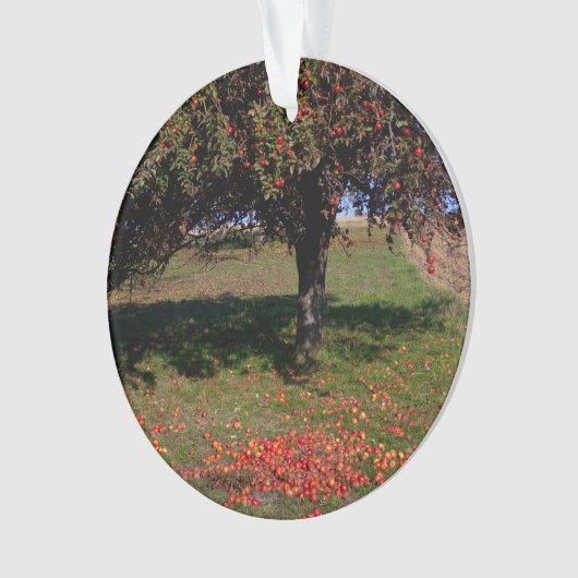 Oude appelboom ornament (voorkant)