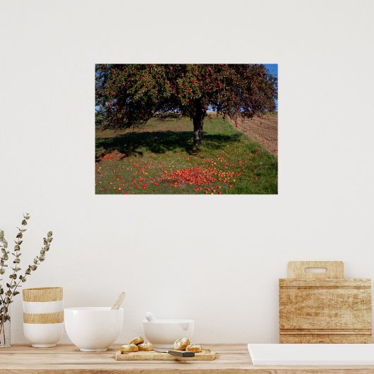 Oude appelboom poster (Keuken)