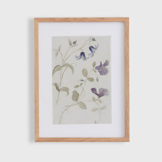 Oude aquarel bloemen poster