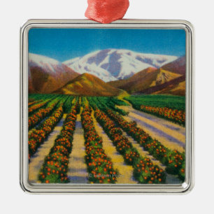 Oude Baldy Mountain uit de Oranje Groves Metalen Ornament