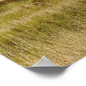 Oude Barn op een landheuvel Poster (Hoek)