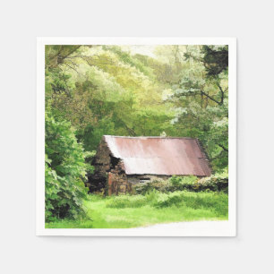 OUDE BARNS SERVETTEN