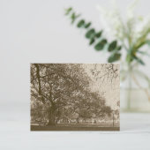 Oude batterij briefkaart (Staand voorkant)