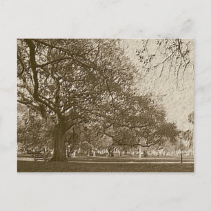 Oude batterij briefkaart