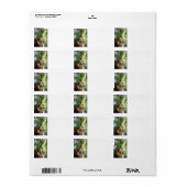 Oude beukenboom etiket (Full Sheet)