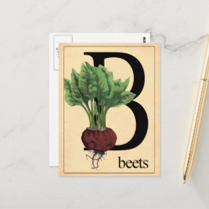 Oude Bieten Briefkaart