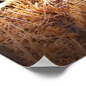 Oude blauwe boot poster (Hoek)