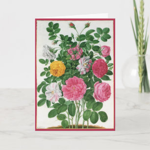 Oude bloeiende bloemen, lentetuinrozen feestdagen kaart