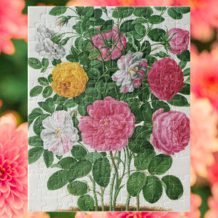 Oude bloeiende bloemen, lentetuinrozen legpuzzel
