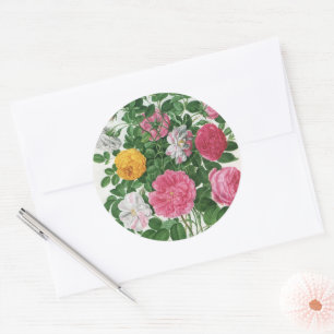 Oude bloeiende bloemen, lentetuinrozen ronde sticker