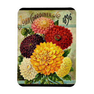 Oude bloemenzaadverpakking - flexi magneet