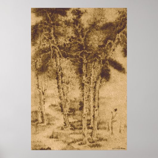 Oude bomen afdrukken poster (Voorkant)