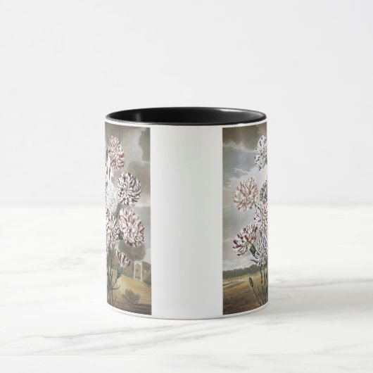 Oude bonte anjerbloemen met grijze lucht mok (Midden)